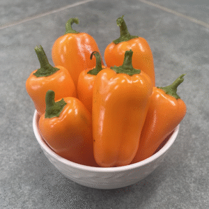 Picnic Peppers (organically grown)