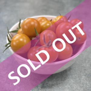 Sungold (F1) Cherry Tomatoes (organically grown)