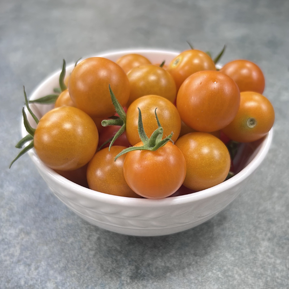 Sungold (F1) Cherry Tomatoes (organically grown)
