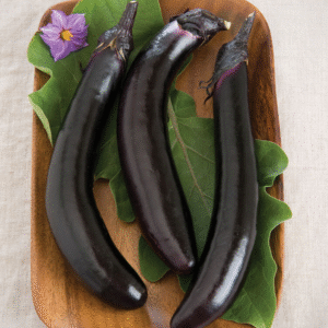 Orient Express Eggplant (needs copy)